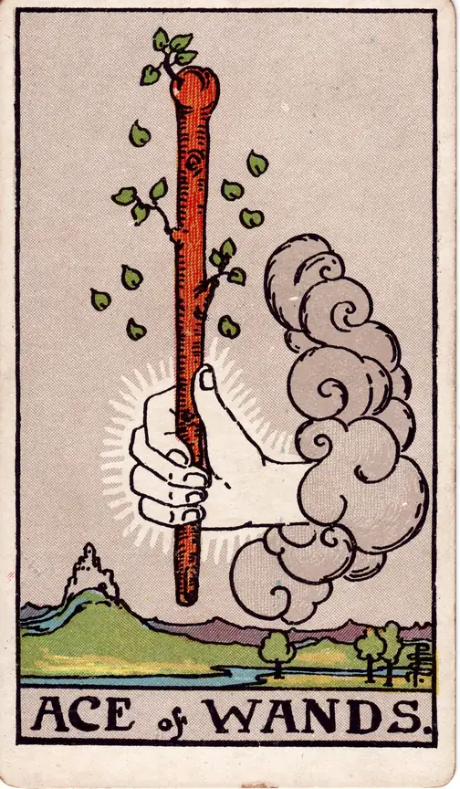 Ace of Wands