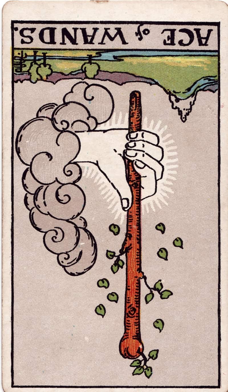 Ace of Wands reversed tarot card