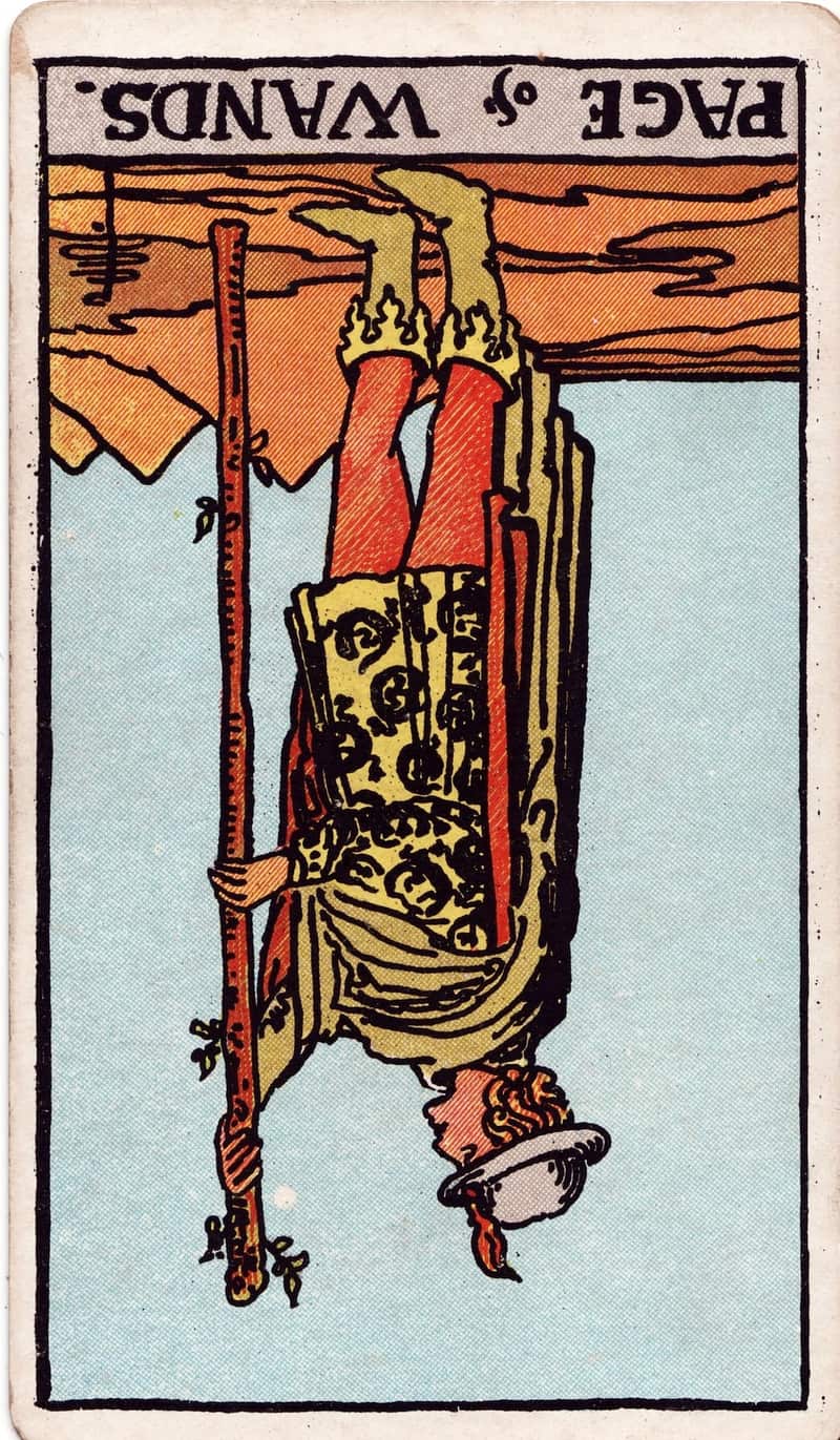 Page of Wands reversed tarot card