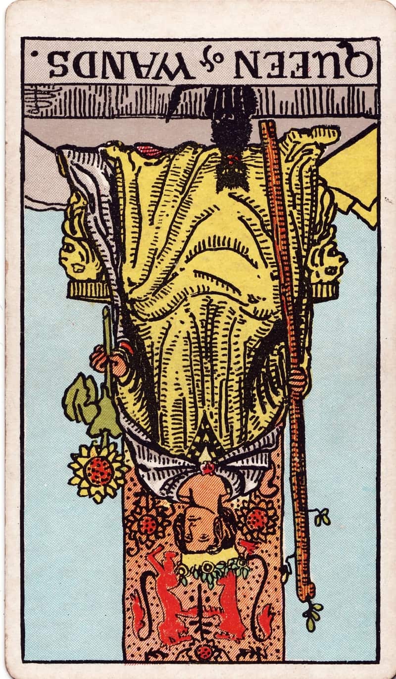 Queen of Wands reversed tarot card