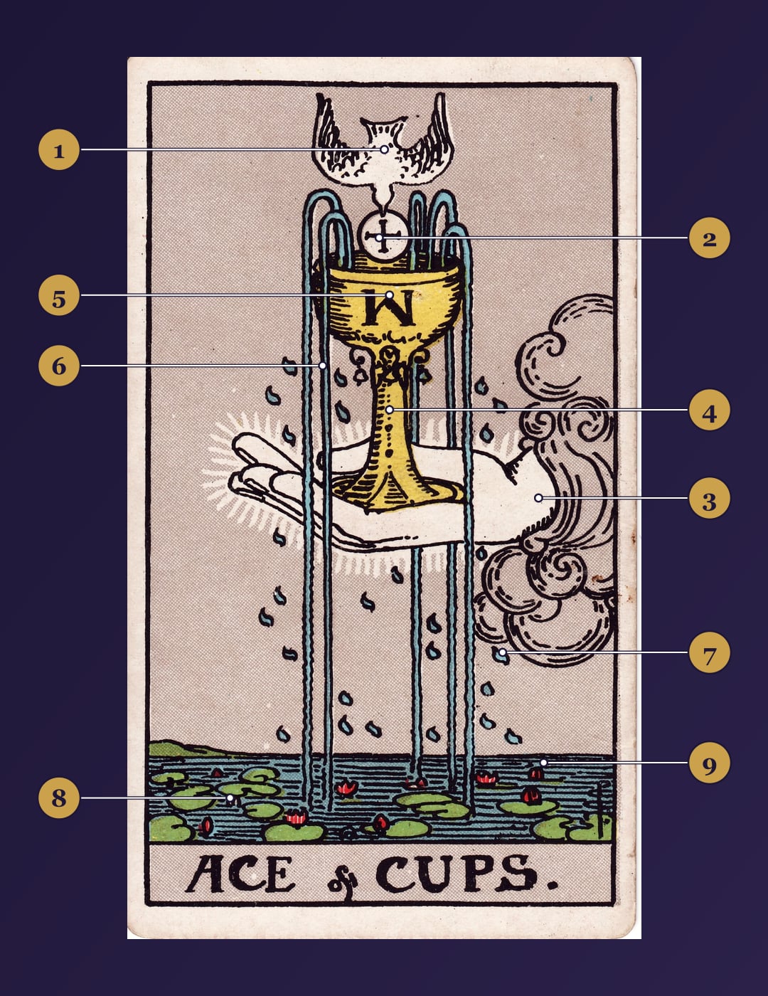 Ace of Cups tarot card symbolism map with numbered markers