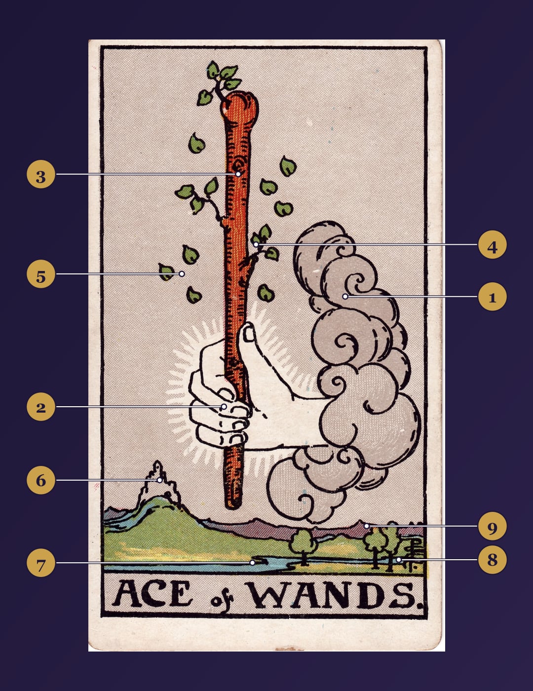 Ace of Wands tarot card symbolism map with numbered markers