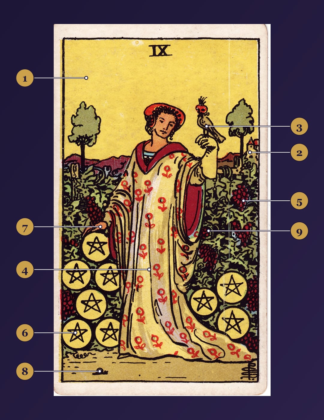 Nine of Pentacles tarot card symbolism map with numbered markers