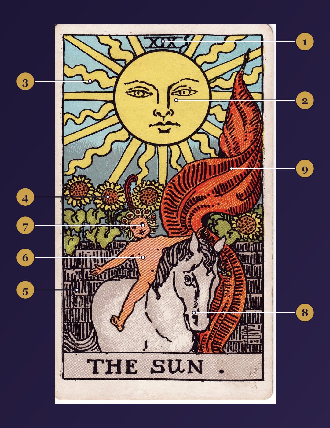 The Sun tarot card symbolism map with numbered markers